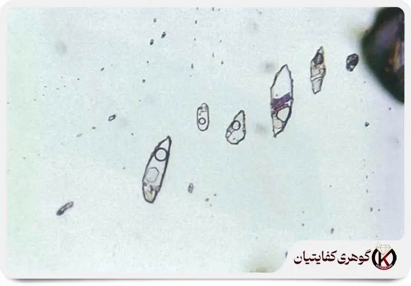 3& multi phase inclusions in topaz