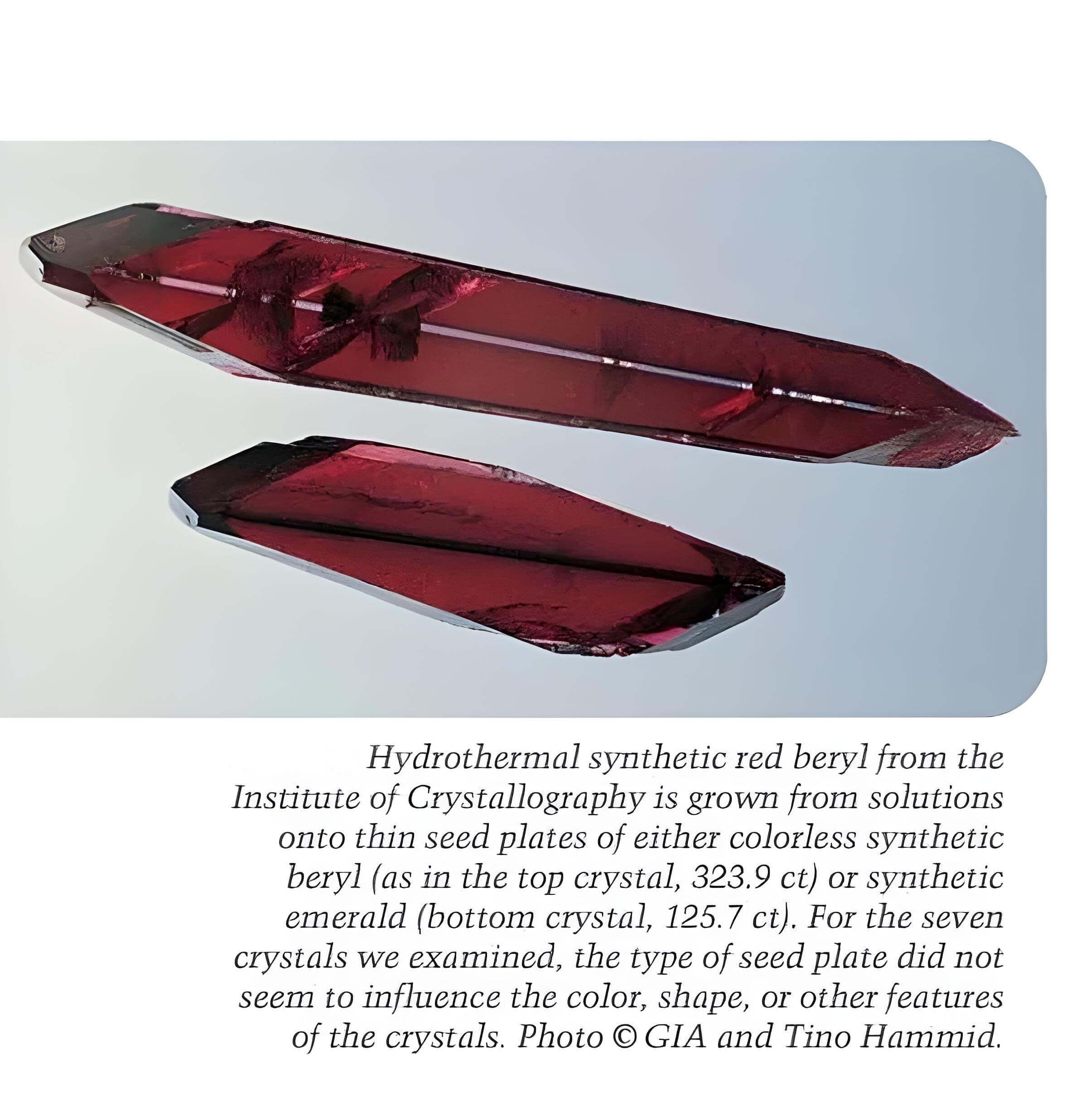 Hydrothermal synthetic red beryl from the Institute of Crystallography is grown from solutions onto thin seed plates of either colorless synthetic beryl (as in the top crystal, 323.9 ct) or synthetic emerald (bottom crystal, 125.7 ct). For the seven crystals we examined, the type of seed plate did not seem to influence the color, shape, or other features of the crystals. Photo © GIA and Tino Hammid.